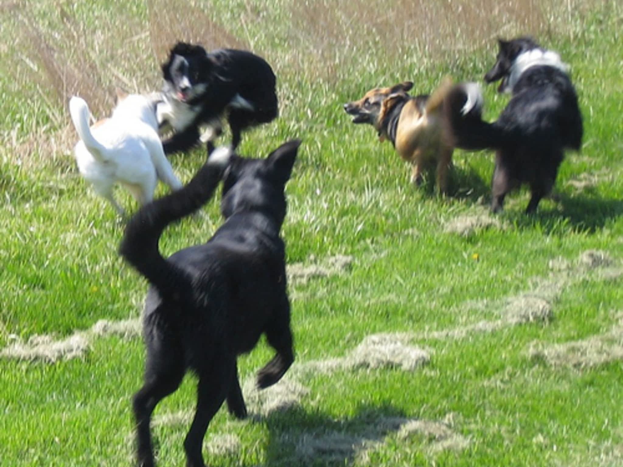 photo Monster Minder