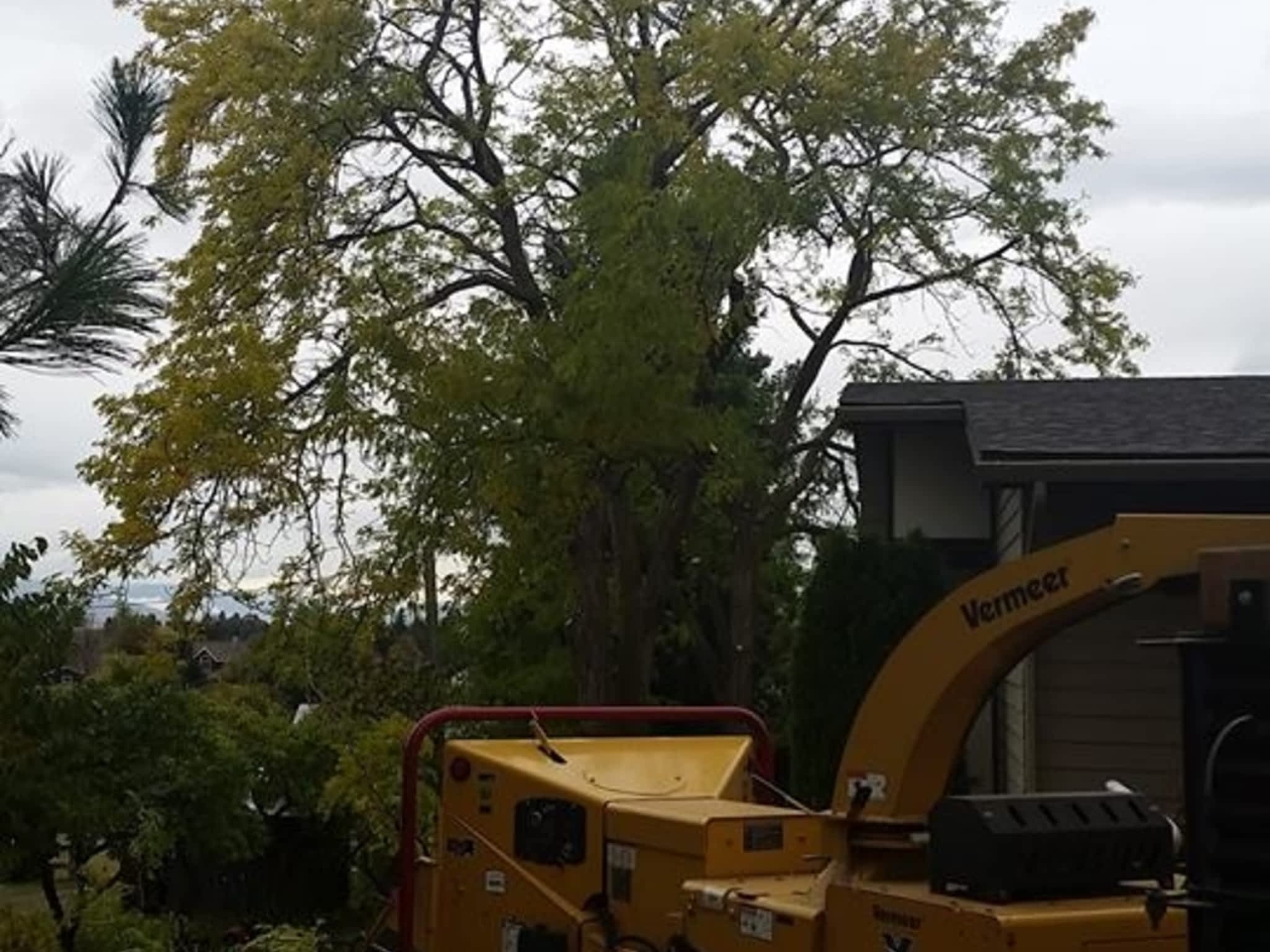 photo Progressive Tree Service