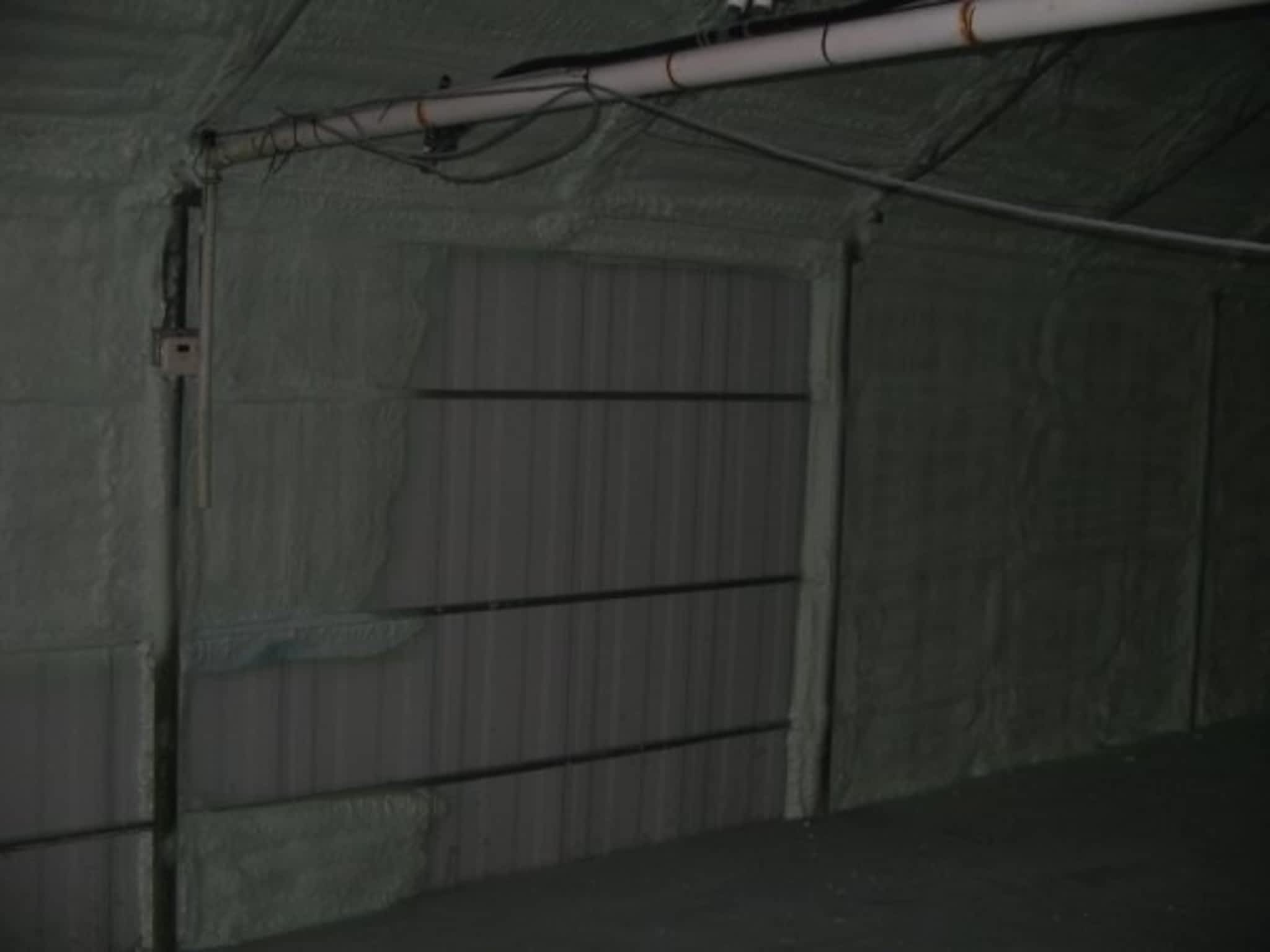 photo Vert Isolation