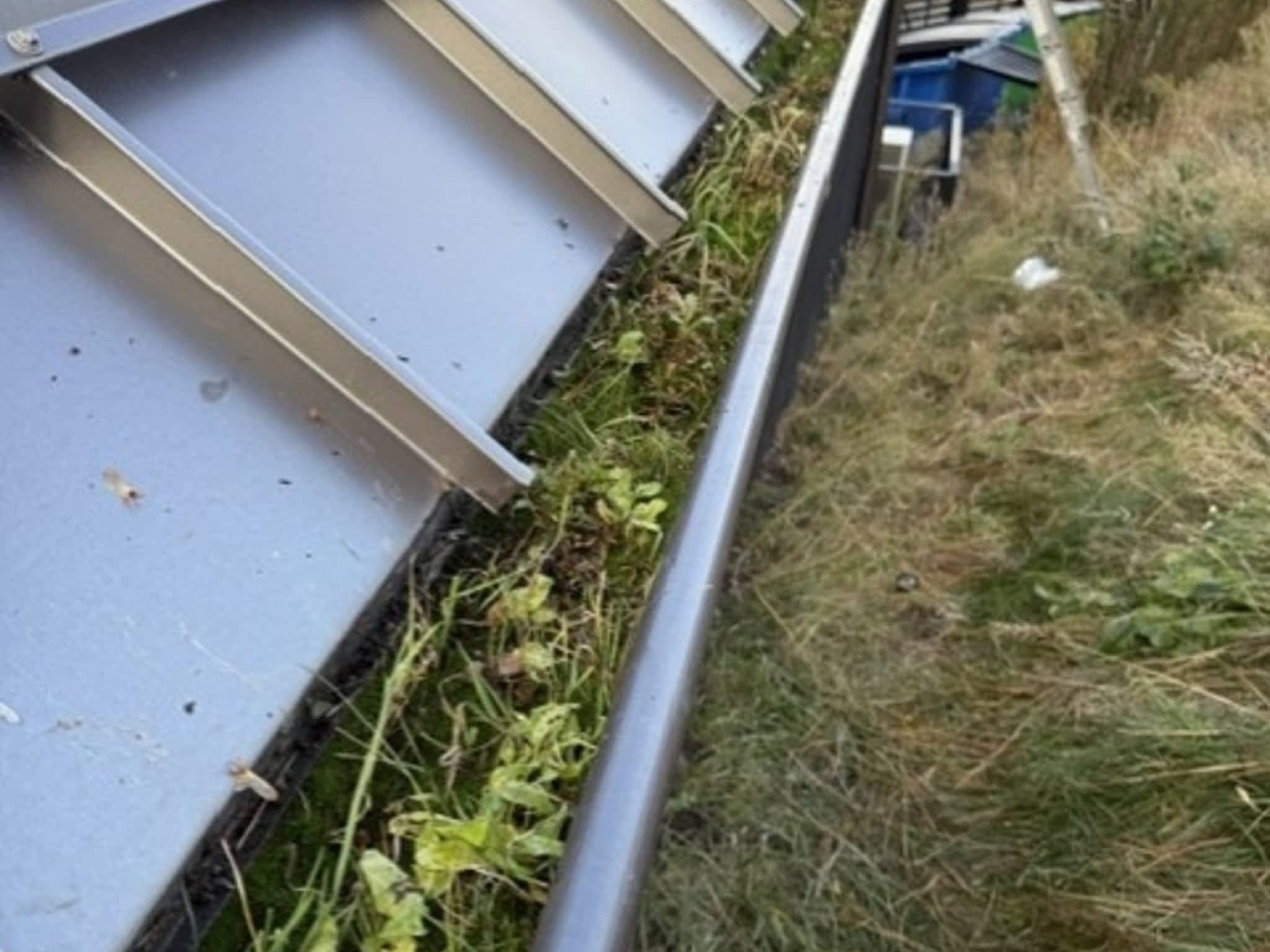 photo Dutchboy Window Cleaning