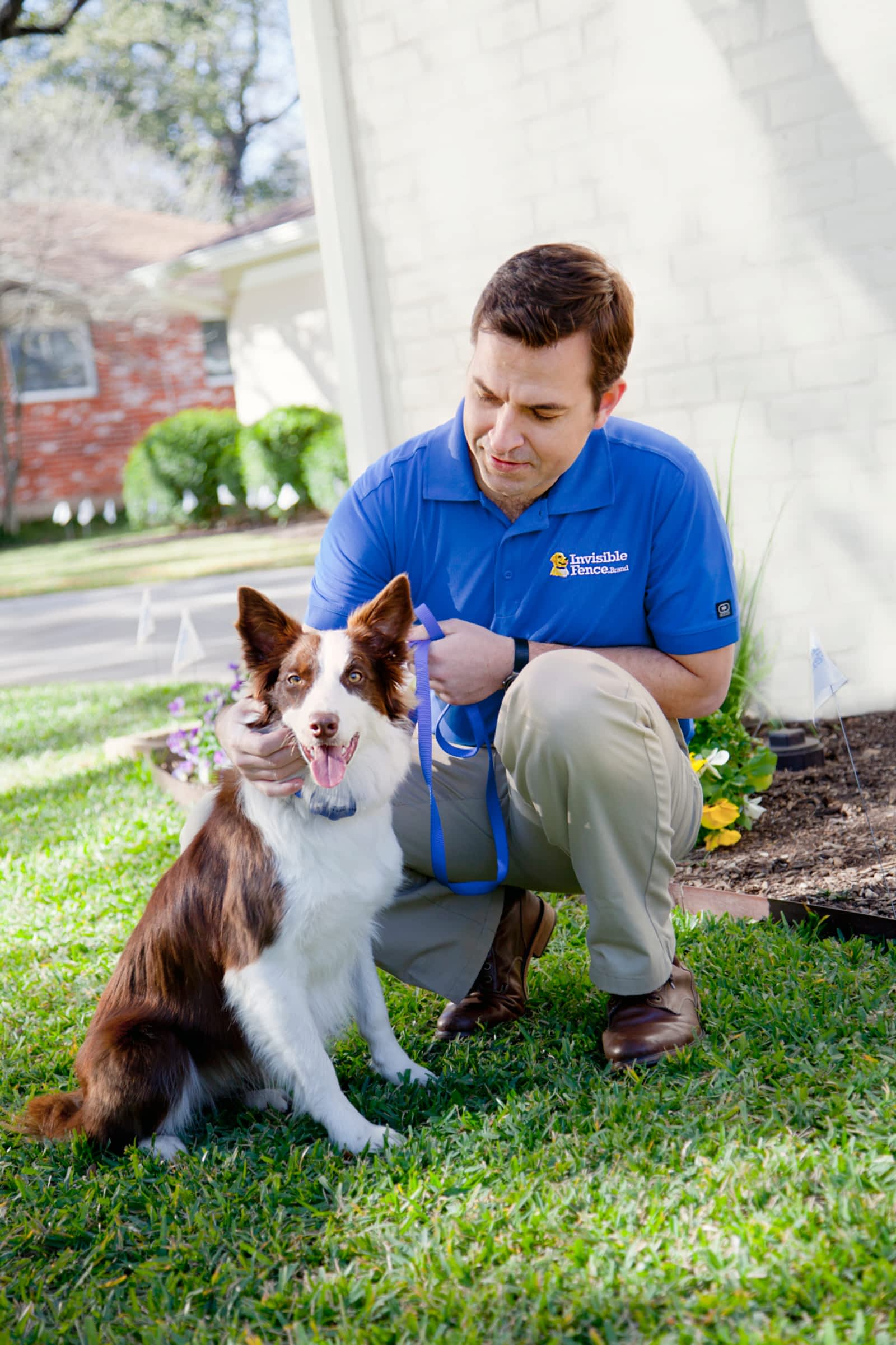 invisible fence brands