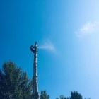 New Heights Tree Service - Service d'entretien d'arbres