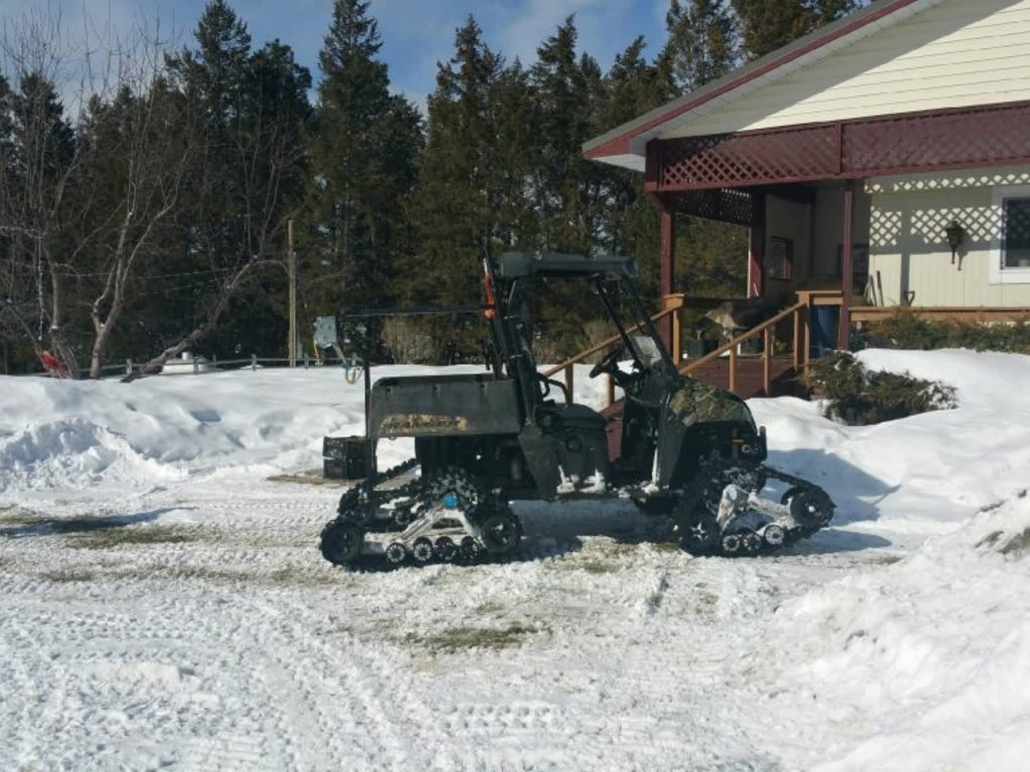 photo Advantage Tree Care Ltd