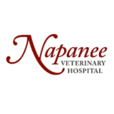 View Napanee Veterinary Hospital’s Kingston profile