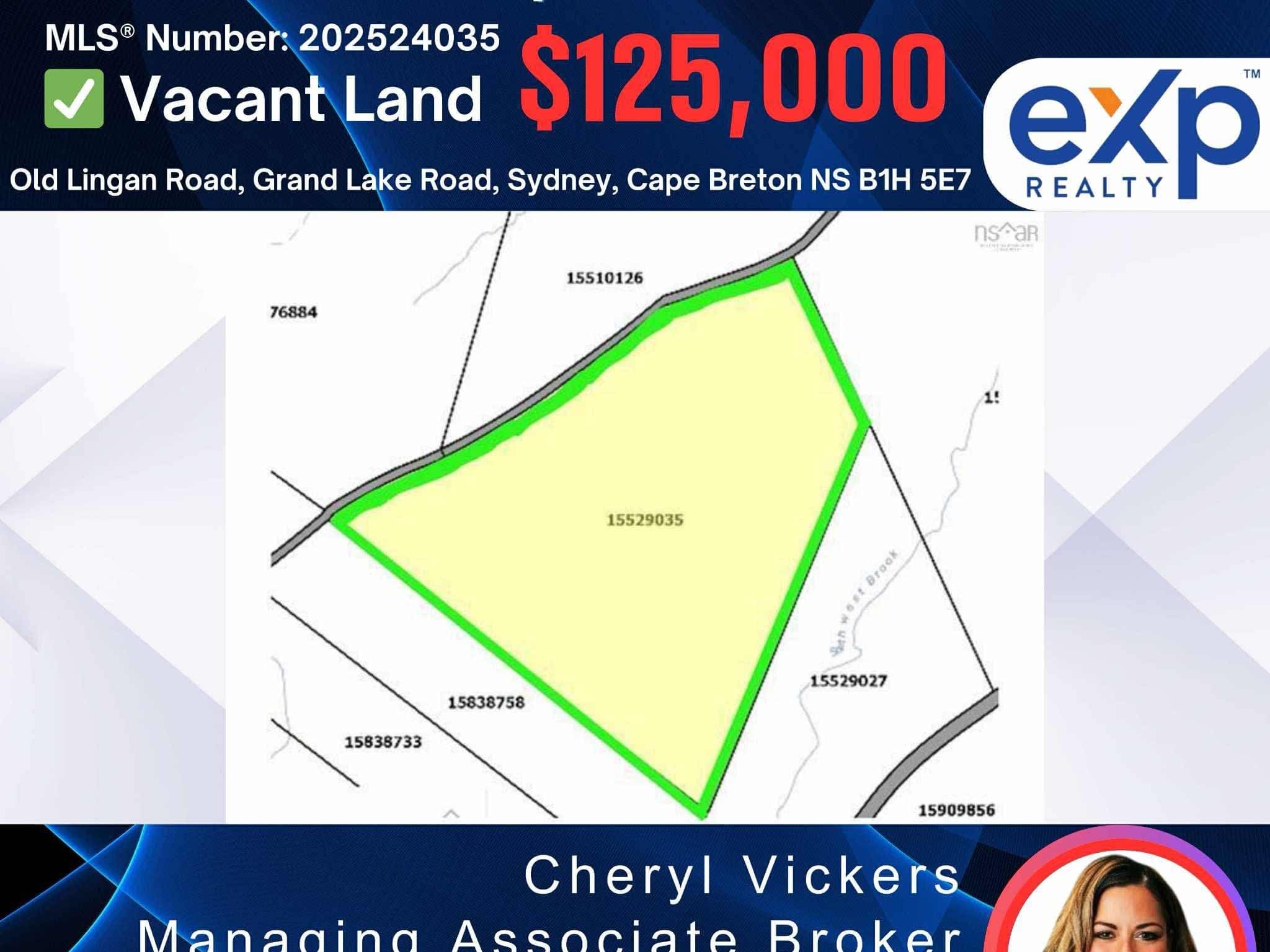 photo Cheryl Vickers - REALTOR® - Associate Broker