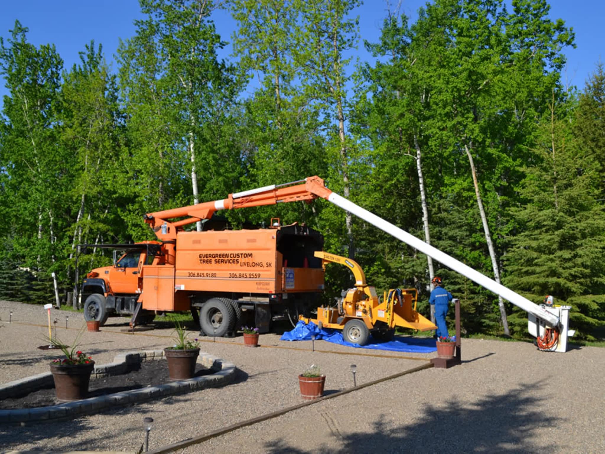 photo Evergreen Custom Tree Services