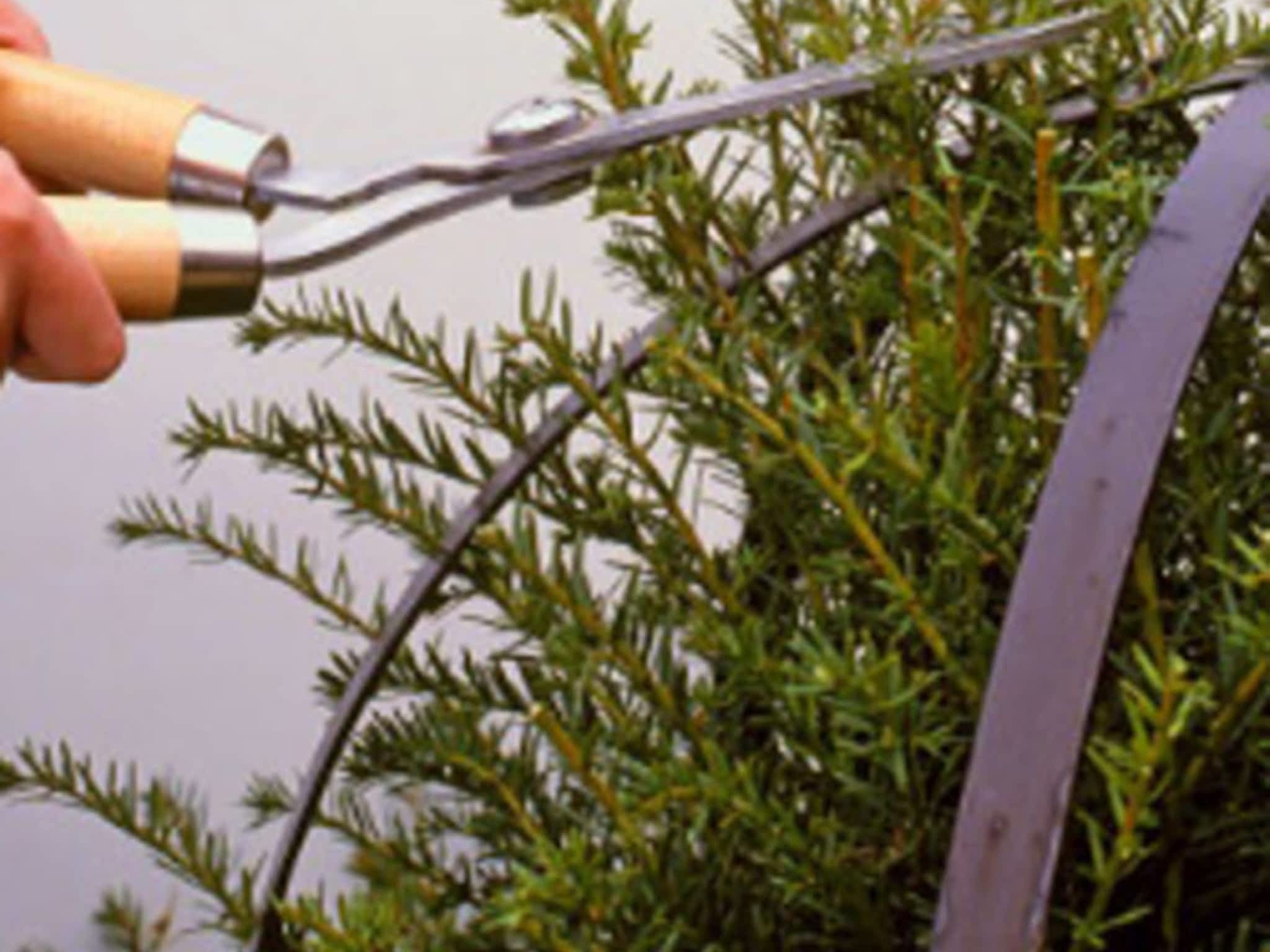 photo Absolute Tree Solutions