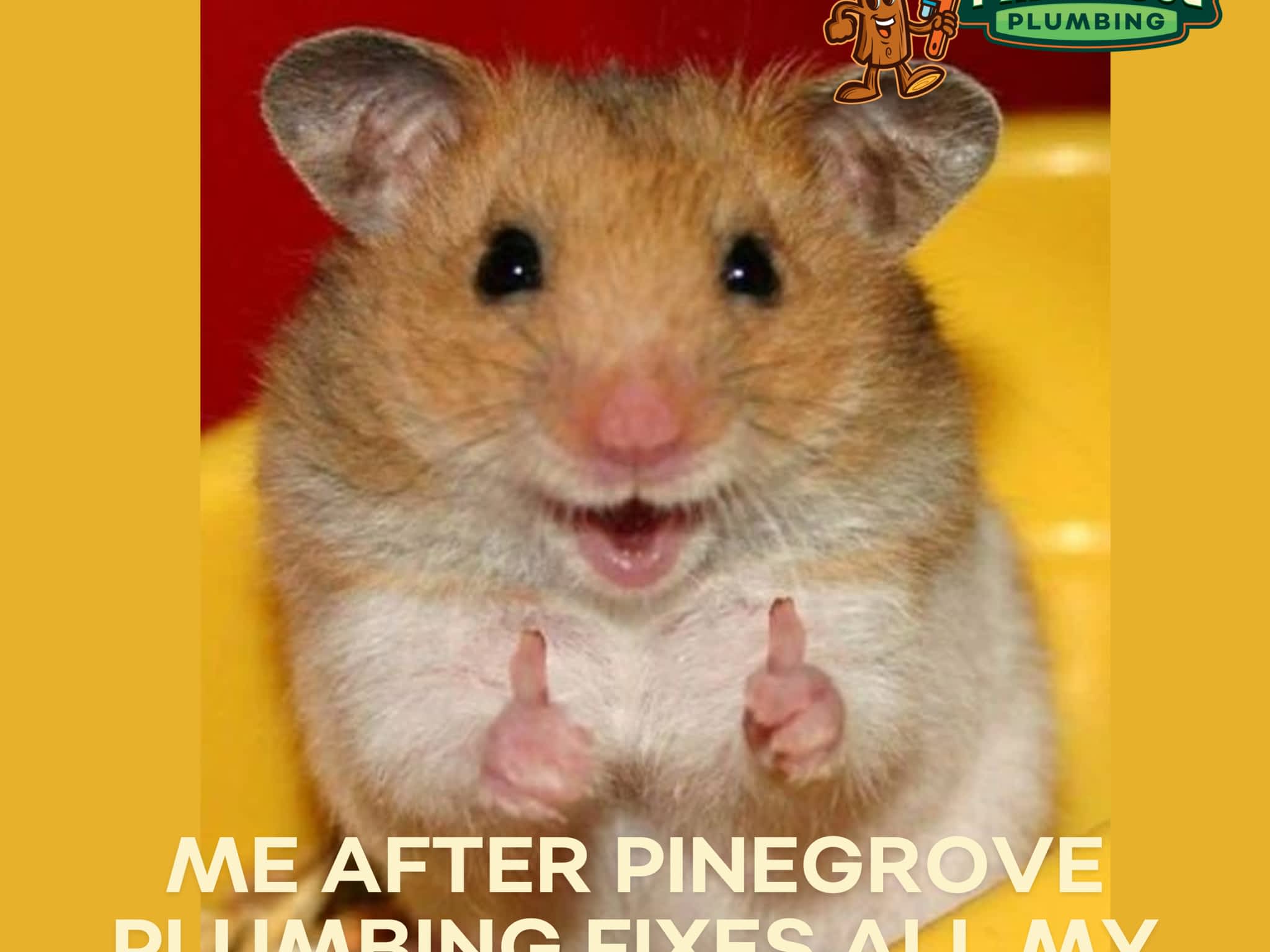 photo Pinegrove Plumbing