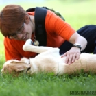 Mr Spot Dog Camp - Dog Training & Pet Obedience Schools