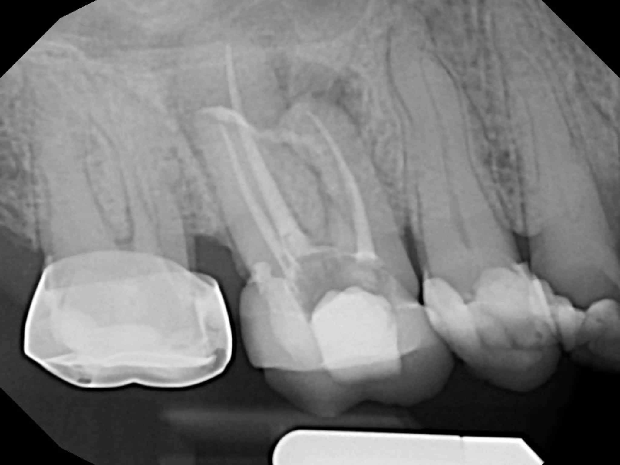 photo Dr. Elie M. Wolfson
