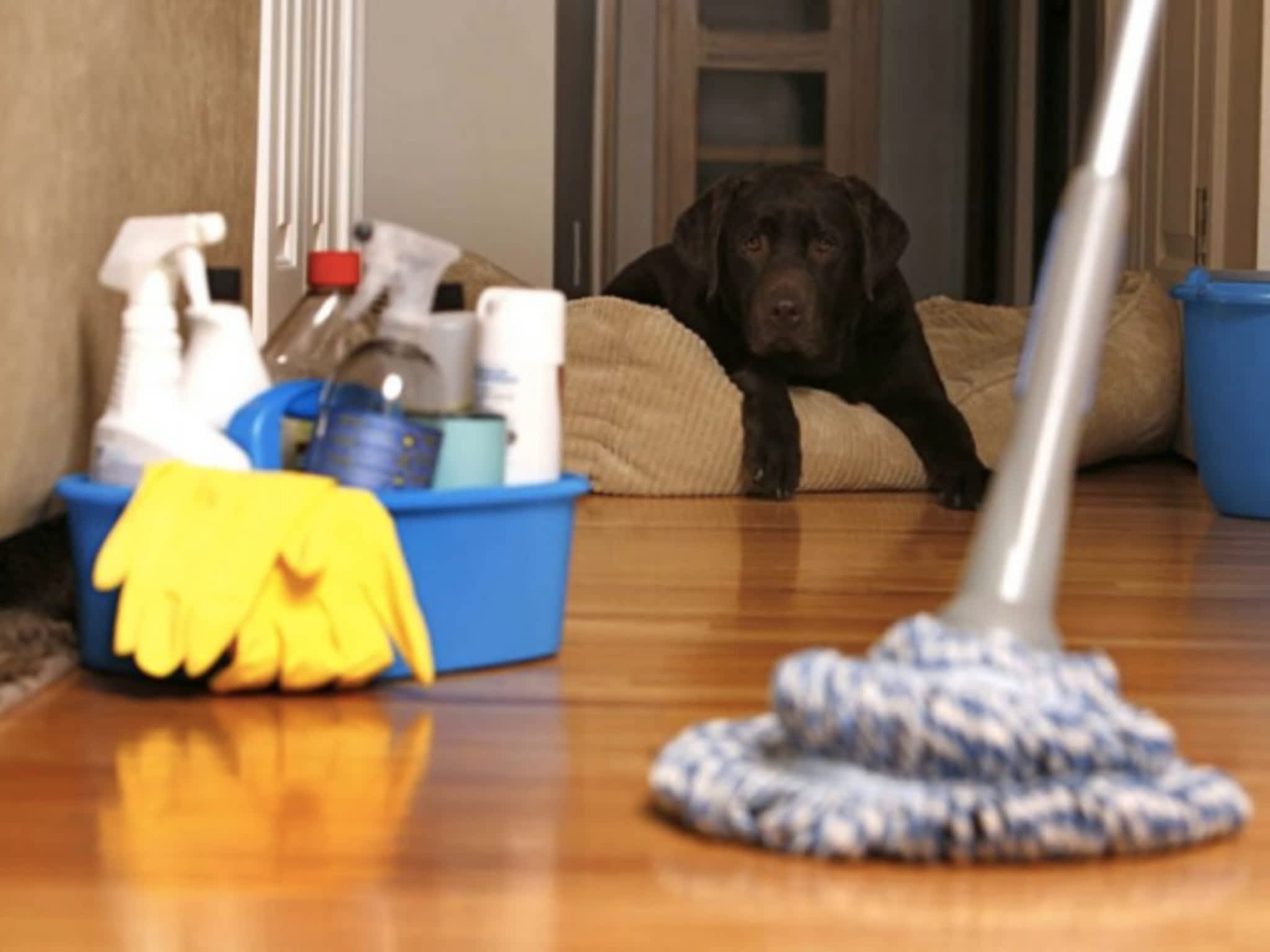 photo Lenore's cleaning