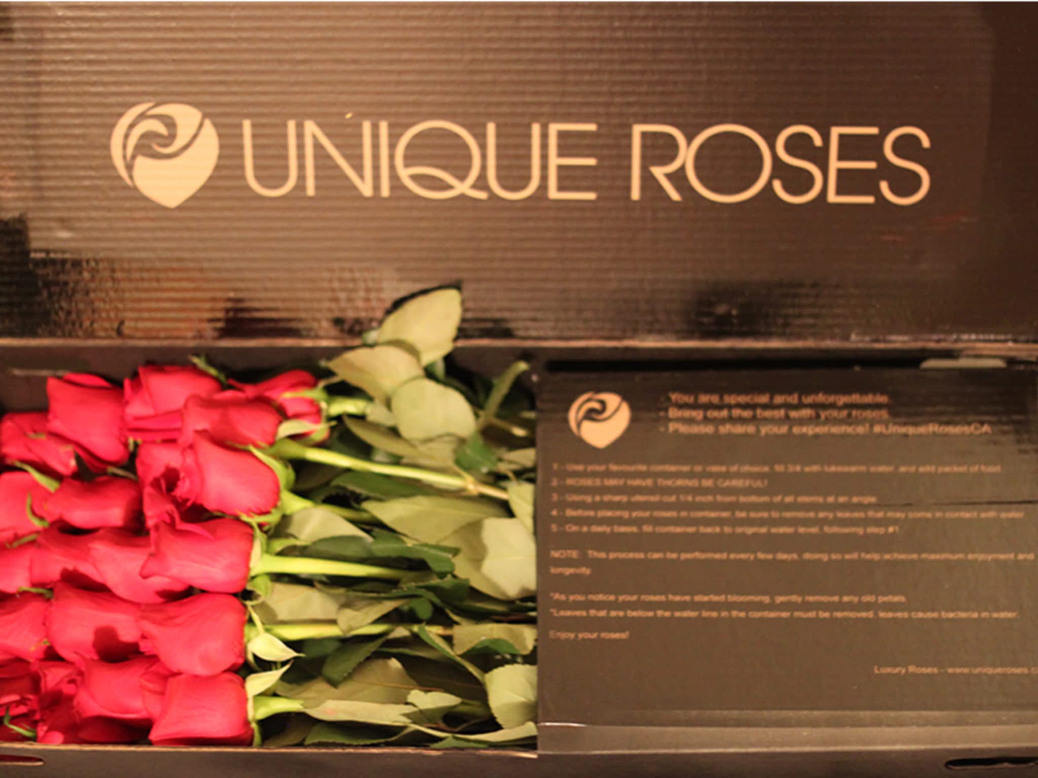 photo Unique Roses
