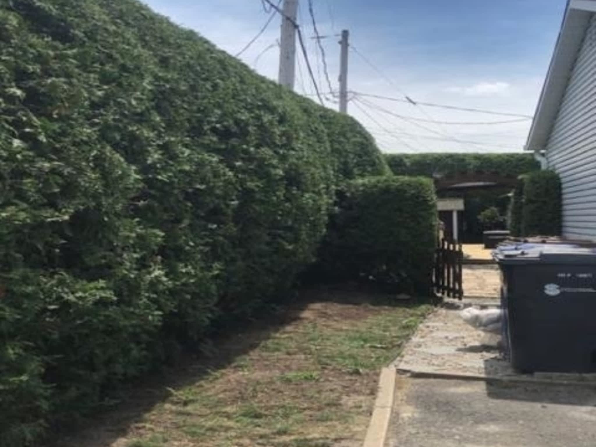 photo Cèdre Esthetique