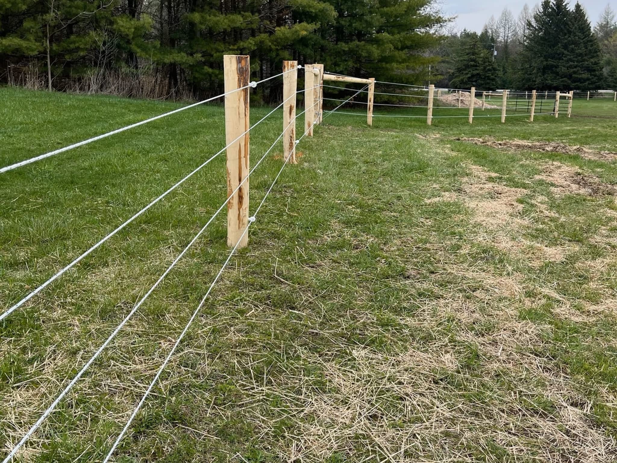 photo Hollowford Fencing