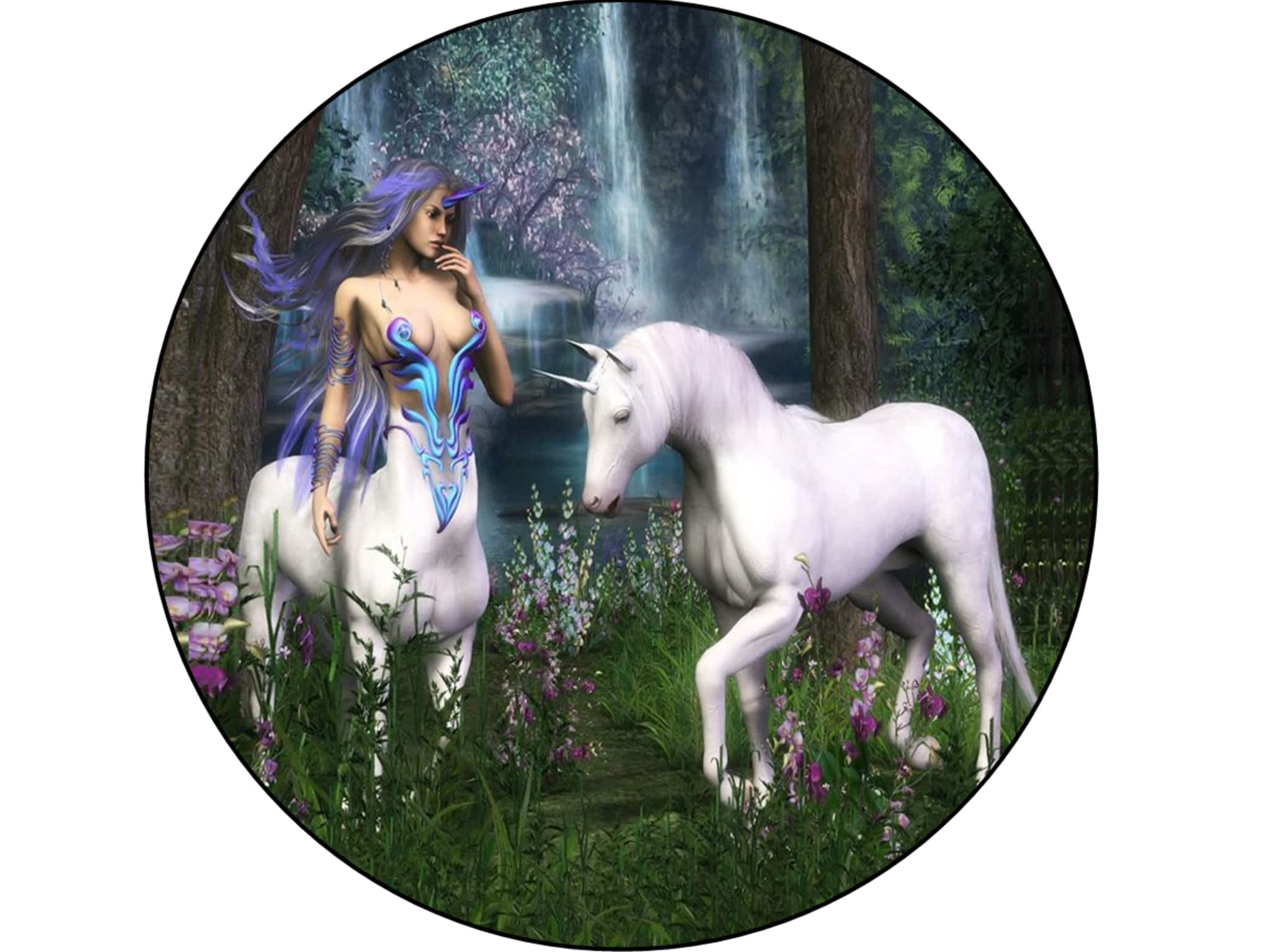 photo Domain Difference