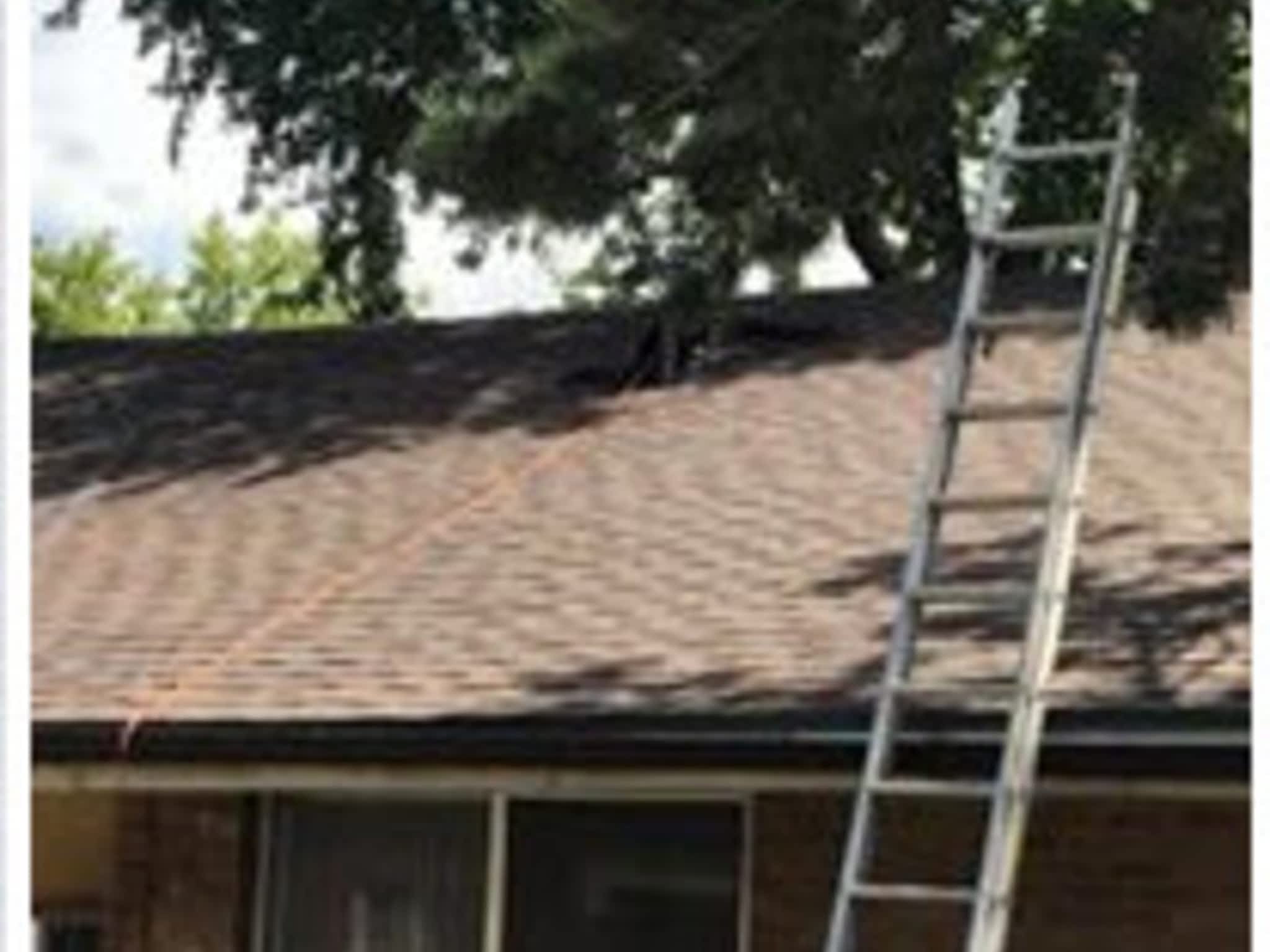 photo Treasure Roofing