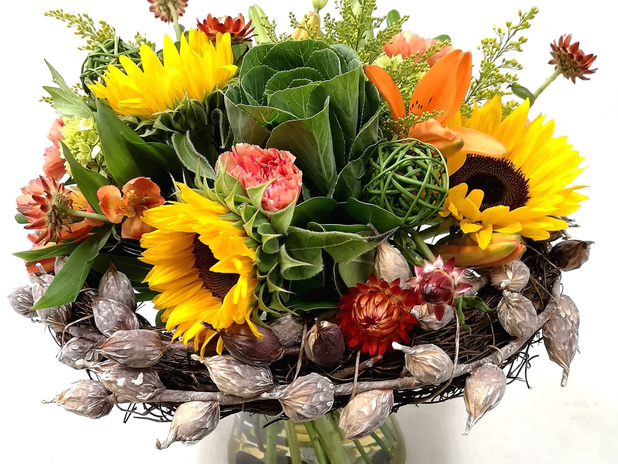 photo Tim Clark`s Flower