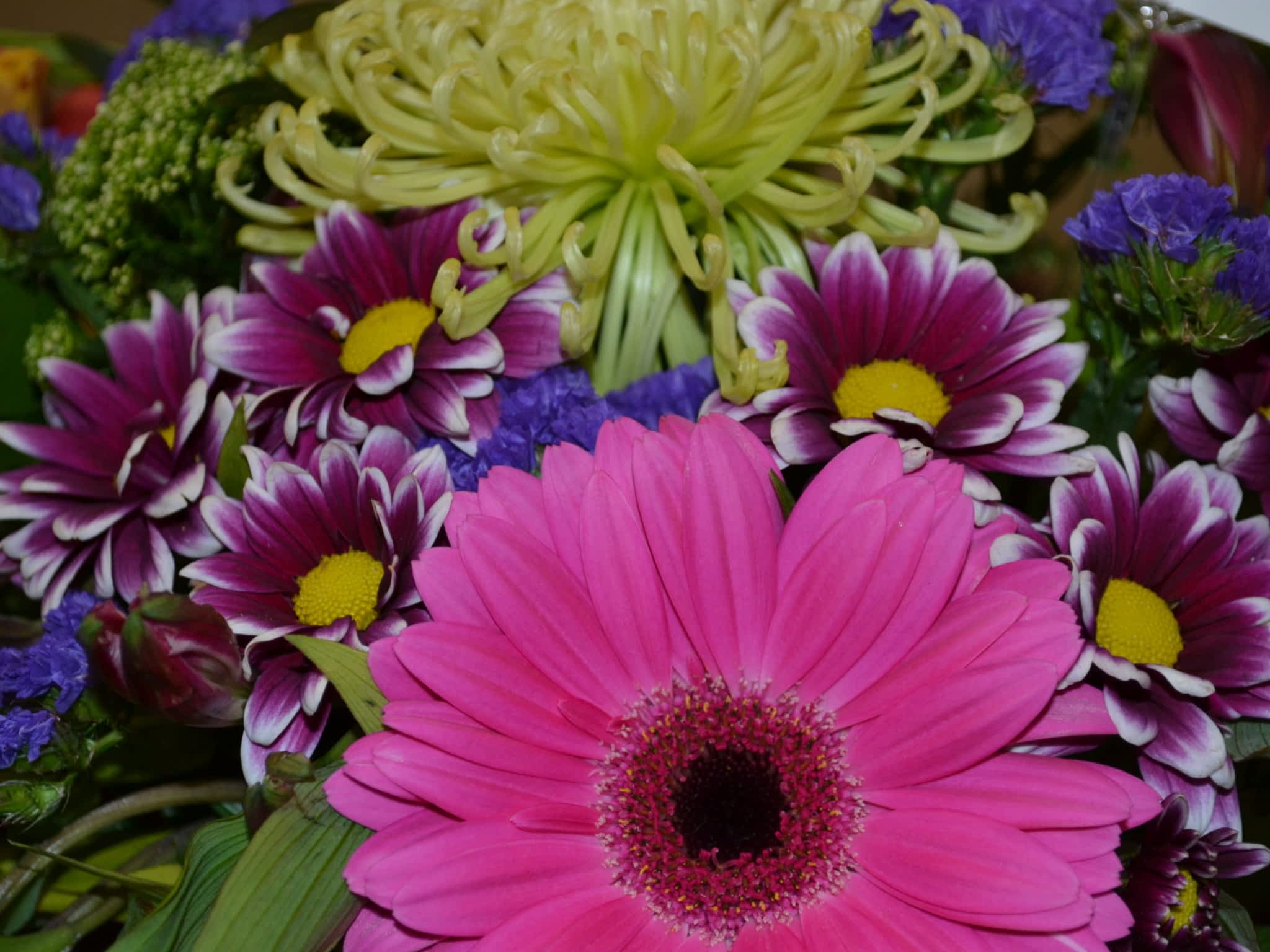 photo Treasure Chest