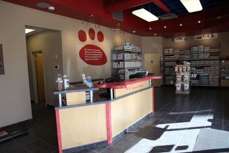 Deer Alberta Red Deer Dog And Cat Hospital Clearview Cat And Dog