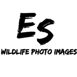 View Es Wildlife Photo Images’s Valemount profile