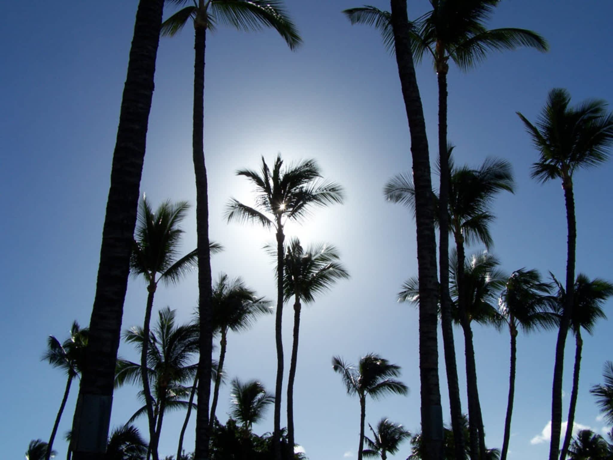 photo Escape Vacations