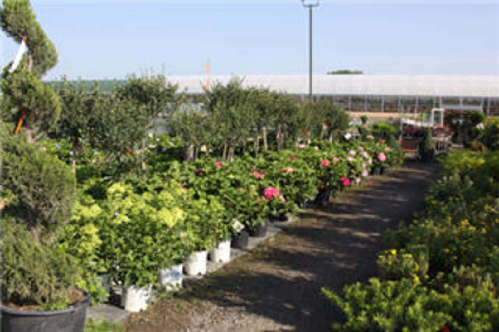 Vandermeer Nursery Ltd Opening Hours 588 Lakeridge Road S Ajax On