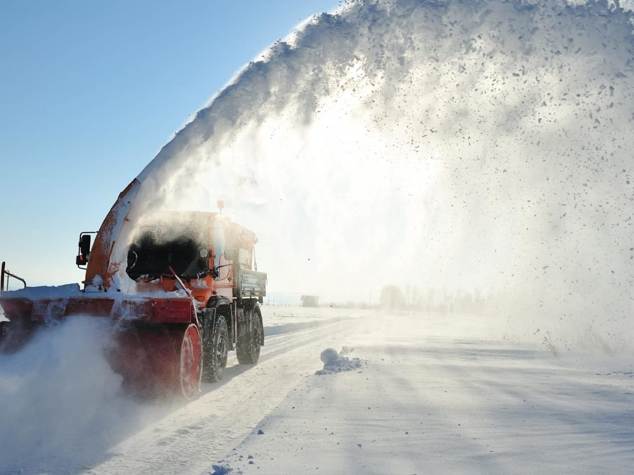 photo Be Yard Smart Inc