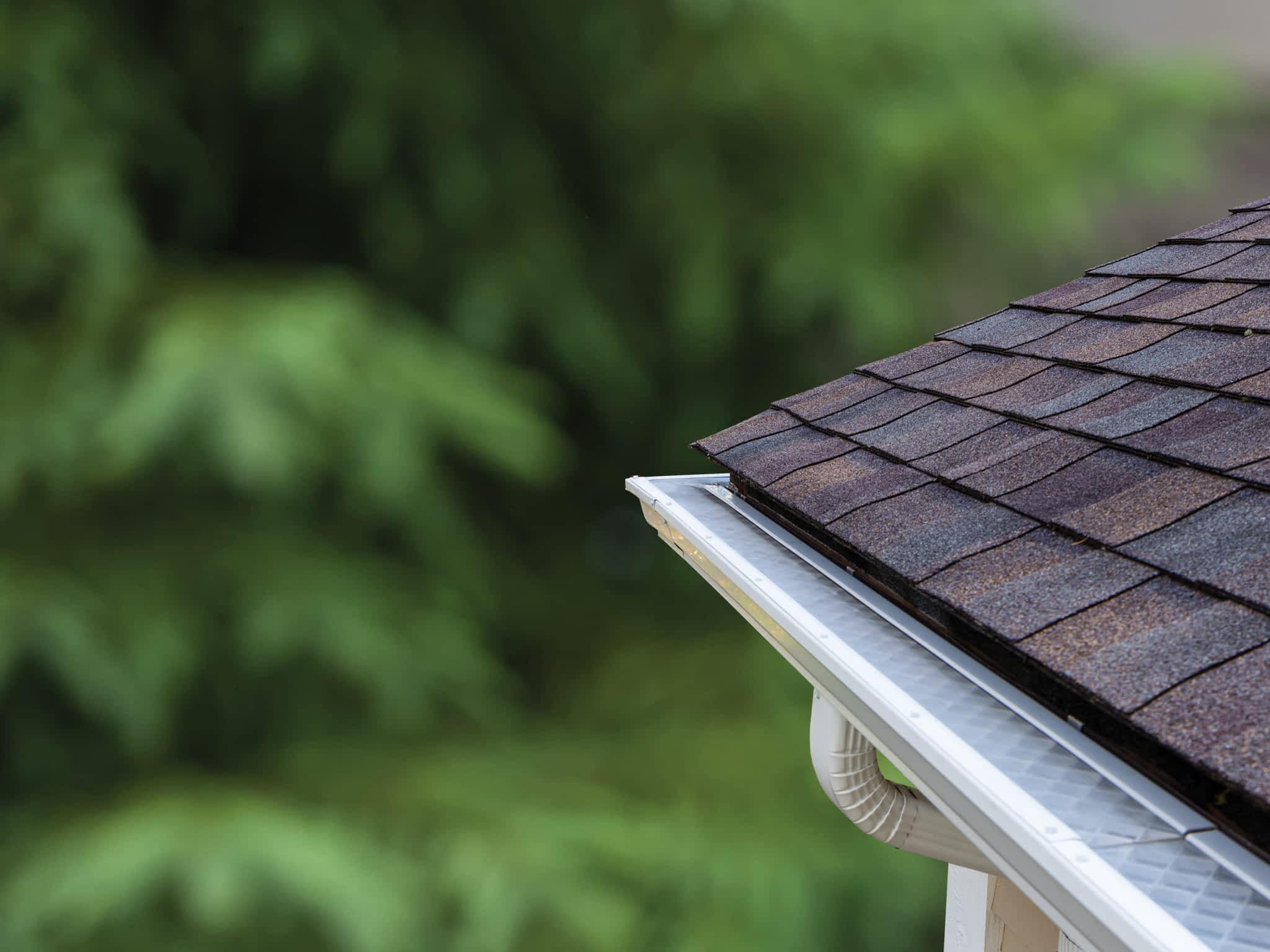 photo LeafFilter Gutter Protection