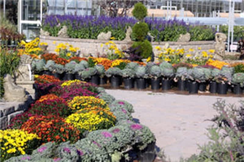 Vandermeer Nursery Ltd Ajax, ON 588 Lakeridge Road S Canpages