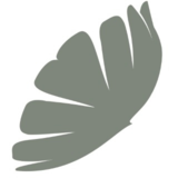 View TMDesign’s Authier profile