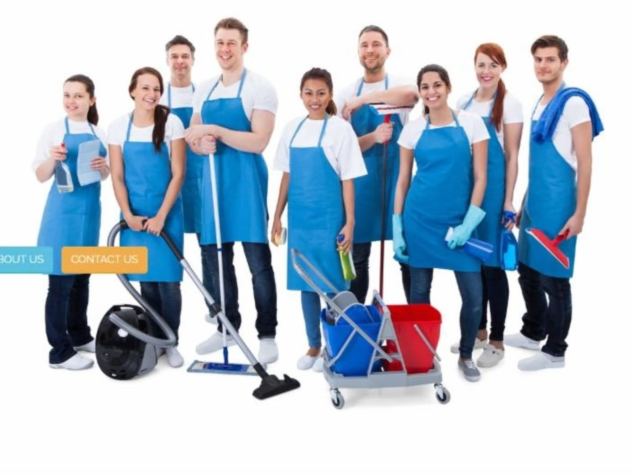 photo The Professional Cleaners