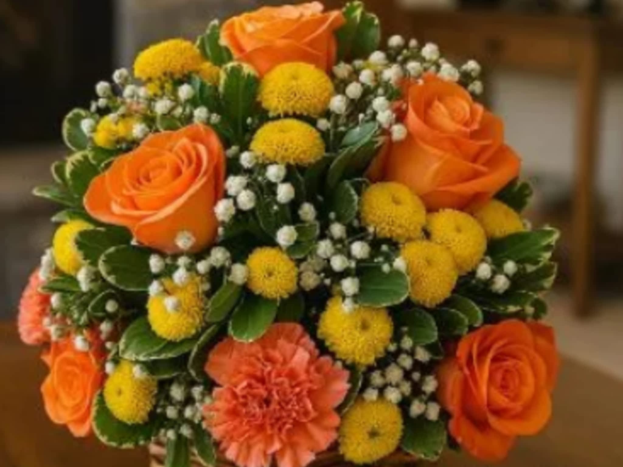 photo Snap And Stem Creative Studio