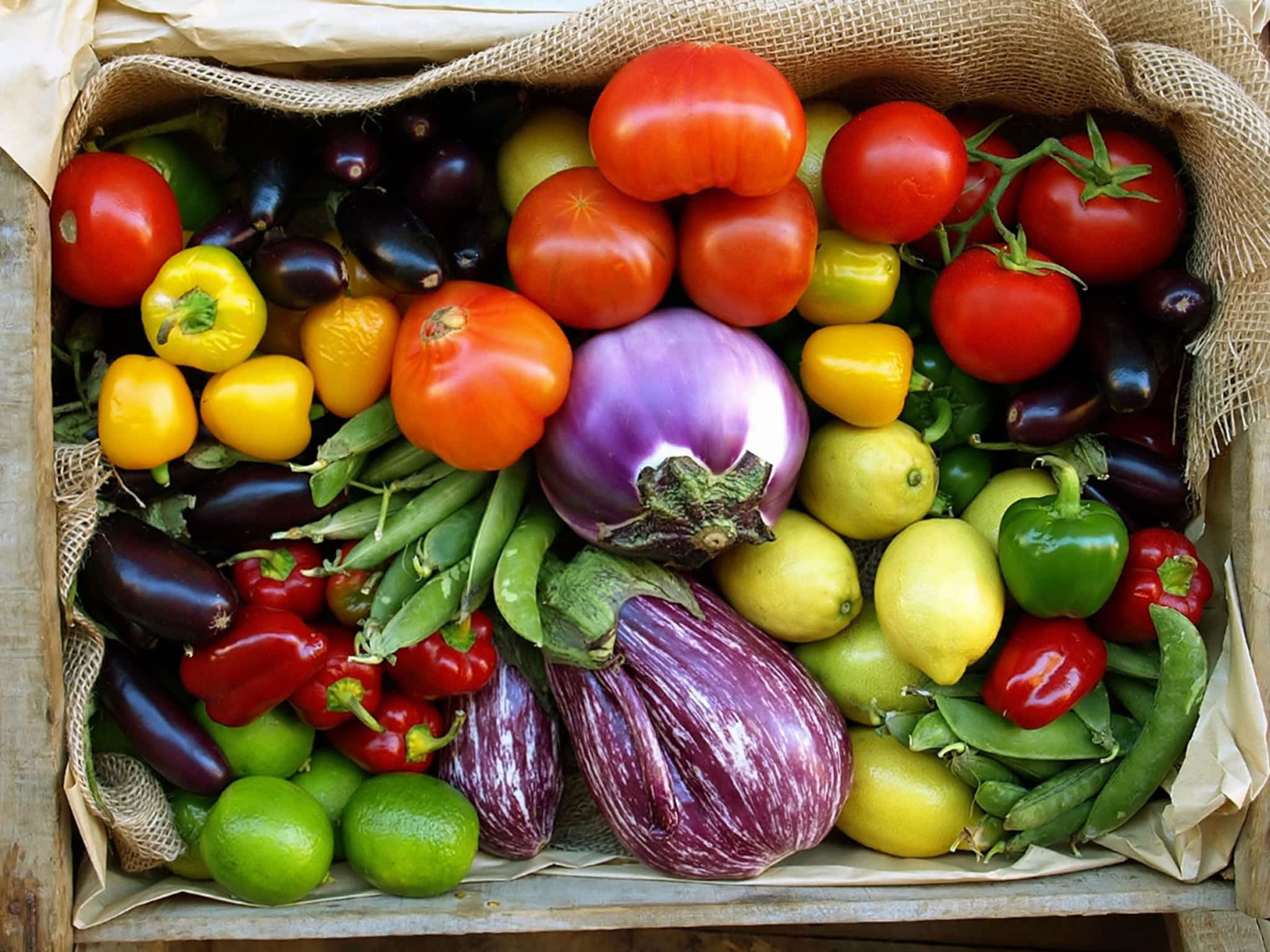 Purity Feed Farm & Garden Centre Kamloops, BC 471 Okanagan Way