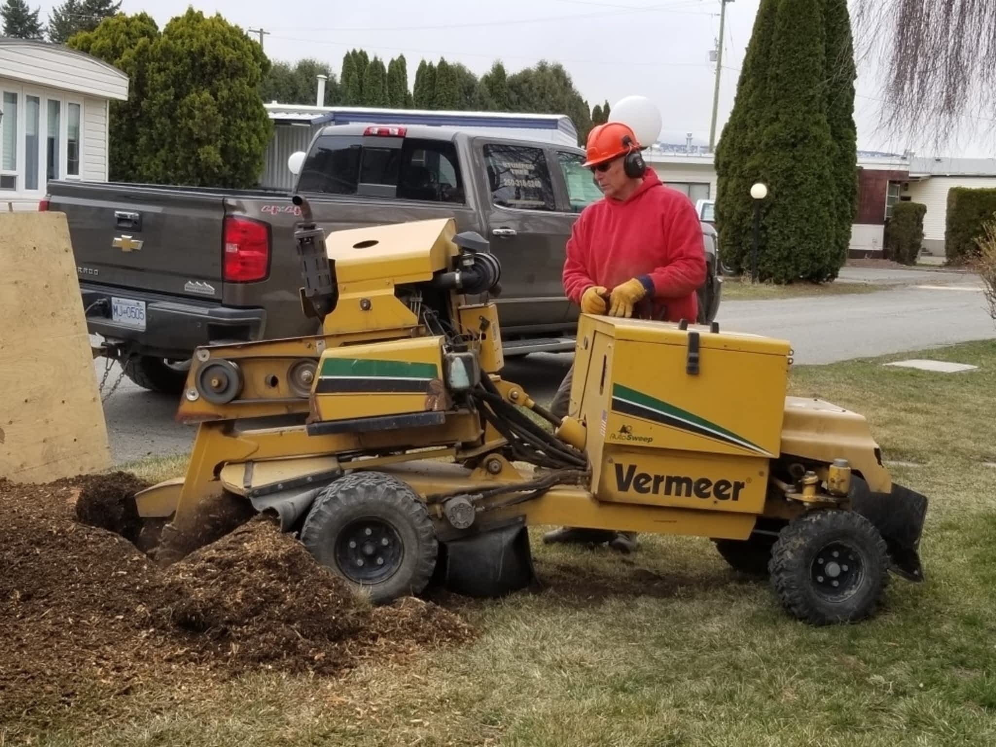 photo Stumped Tree Service