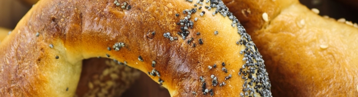 Where to fill up on bagels in Halifax