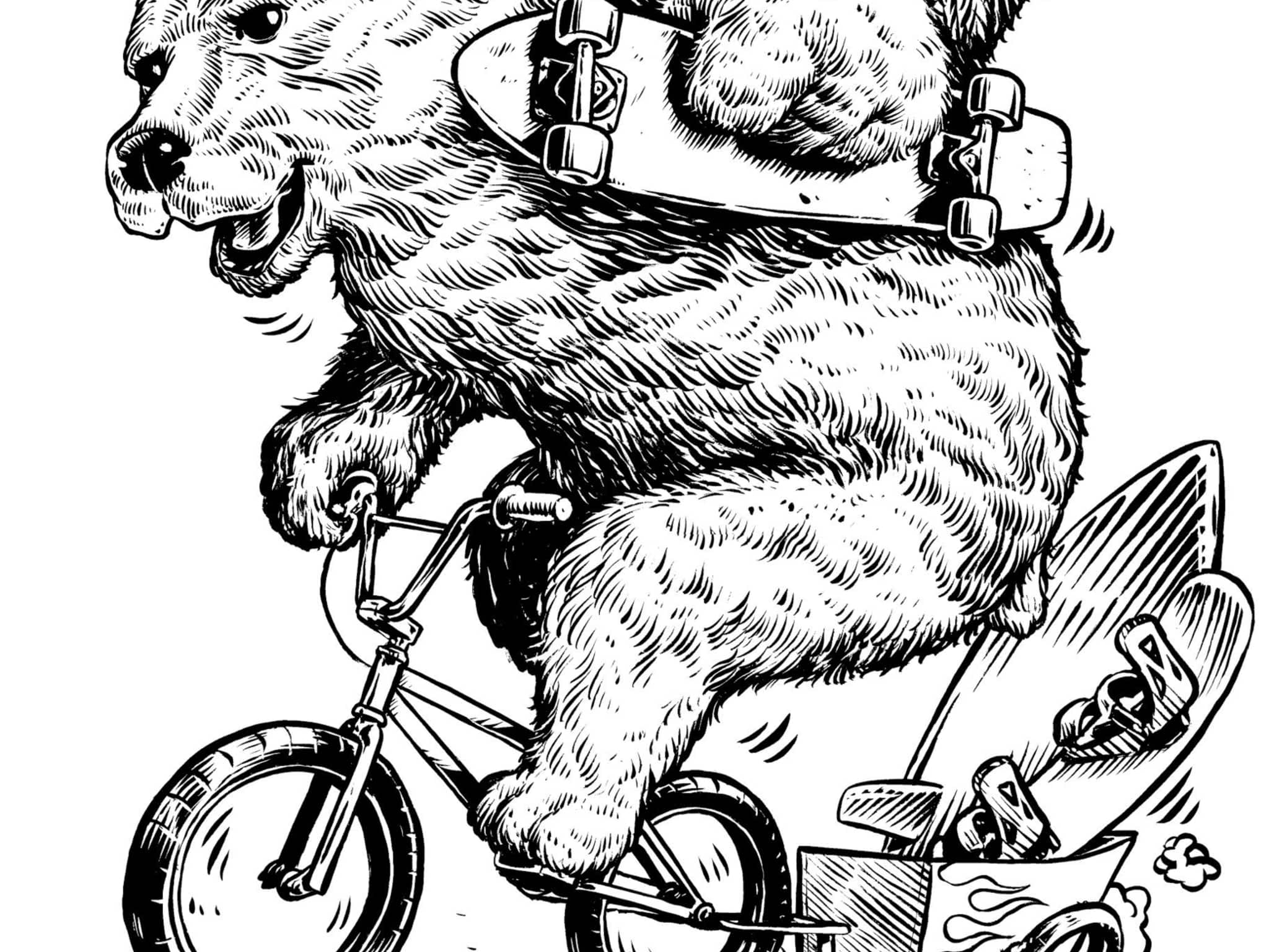 photo Bear's BMX & BS