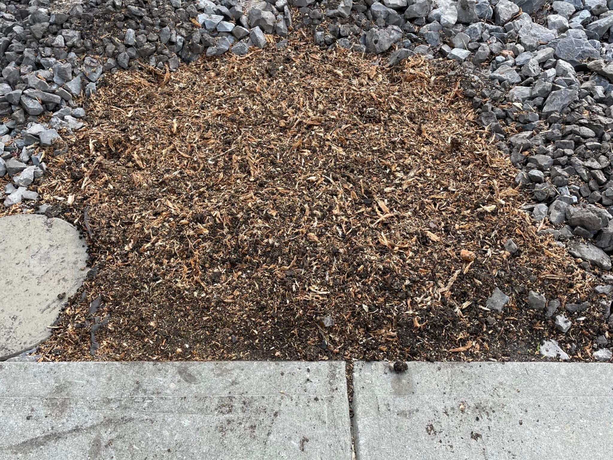 photo Grindpro tree stump grinding