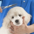 Rayna's Groom Room - Pet Grooming, Clipping & Washing