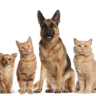 Tillsonburg Veterinary Centre - Veterinarians