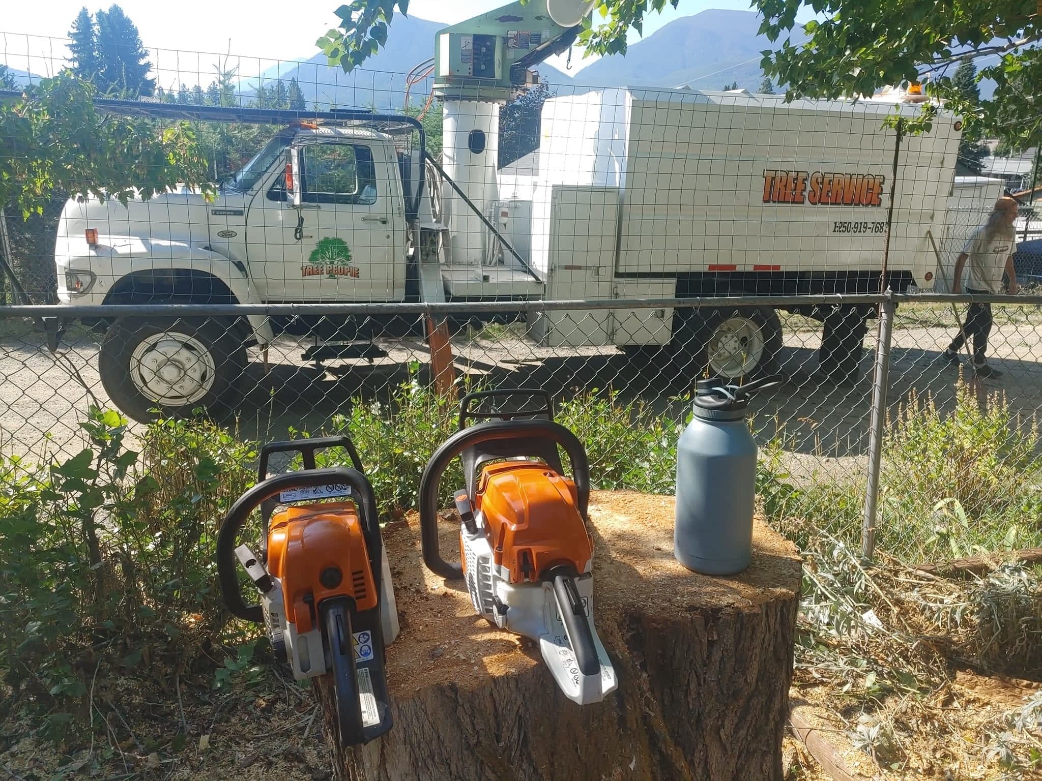 photo DW Tree Removal