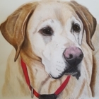 The Artwork of Holly Fox Ellis Pet Portraits