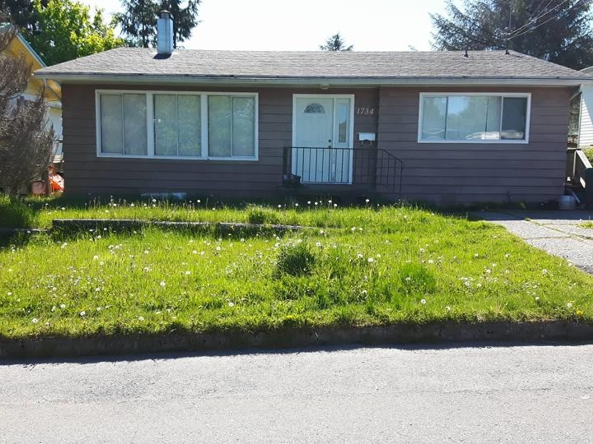photo Adam's Lawn & Yard Maintenance