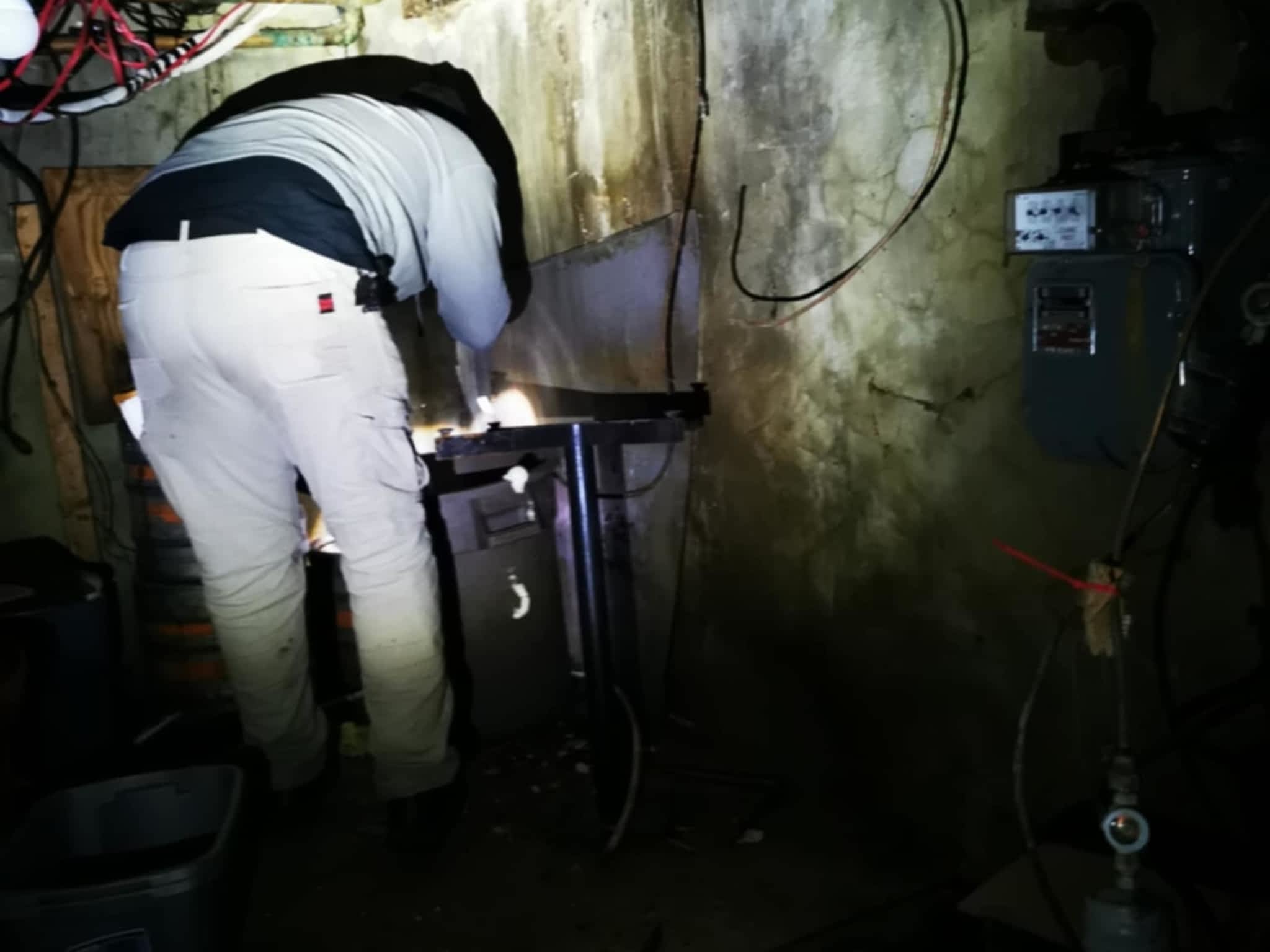 photo D Solution Extermination