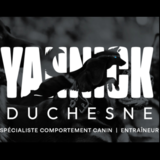 View Yannick Duchesne Spécialiste en Comportement Canin’s Aylmer profile
