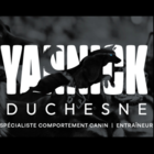 Yannick Duchesne Spécialiste en Comportement Canin - Dog Training & Pet Obedience Schools