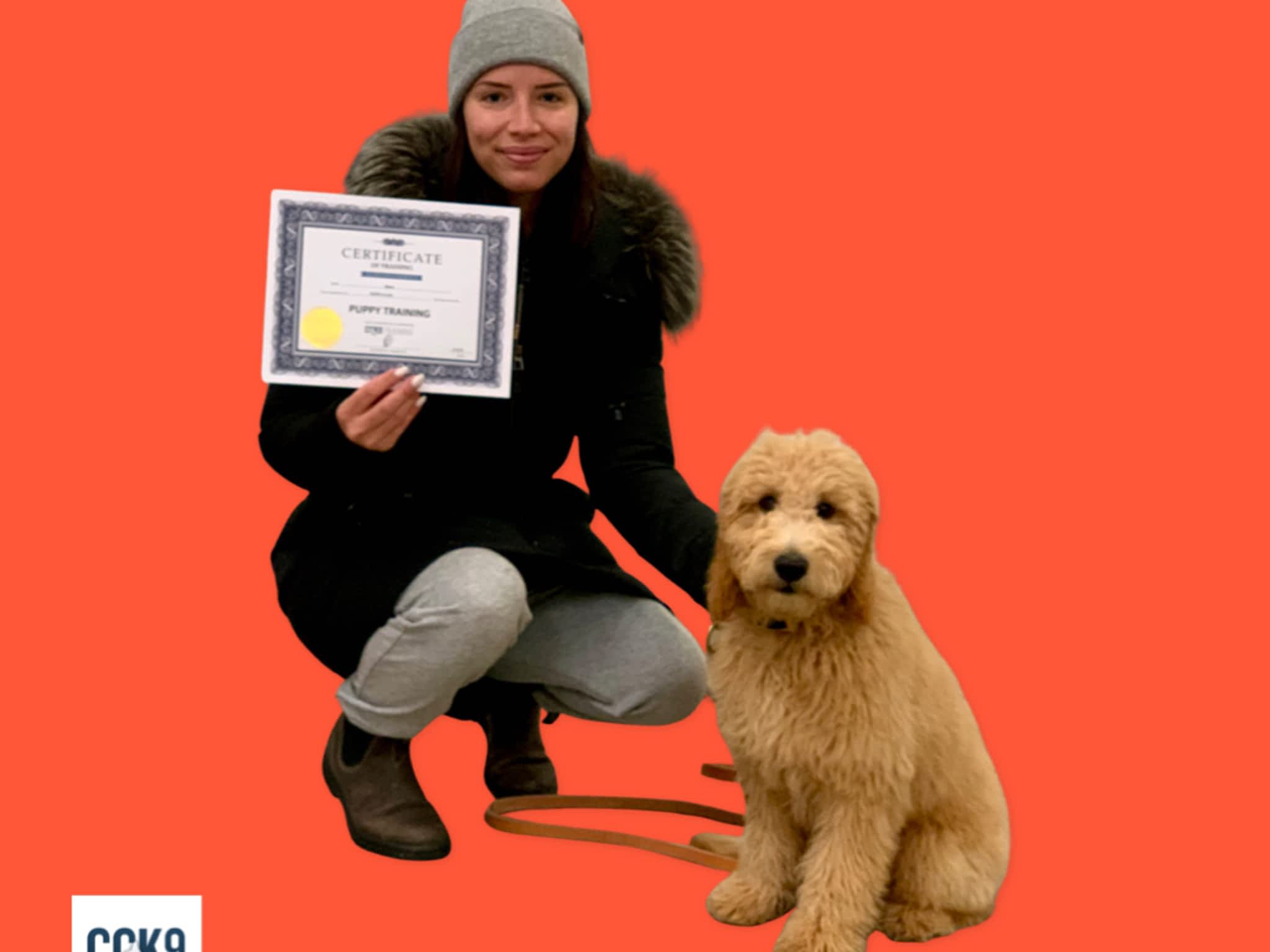 photo Command Control K-9