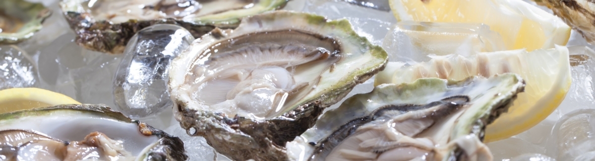 Vancouver’s best oyster joints