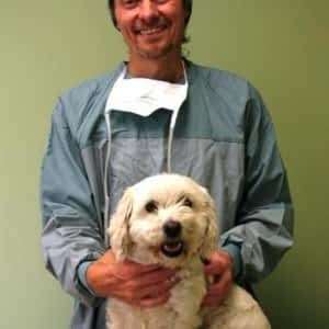 cedarwood animal hospital