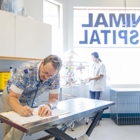 Bayview Seven Animal Hospital - Veterinarians