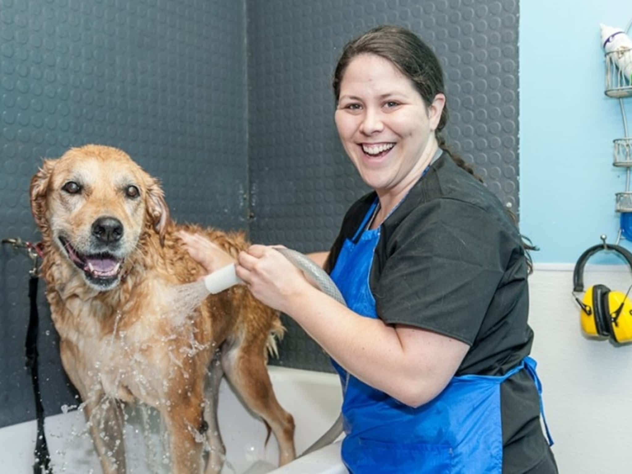 photo Dogs Rule Pet Grooming